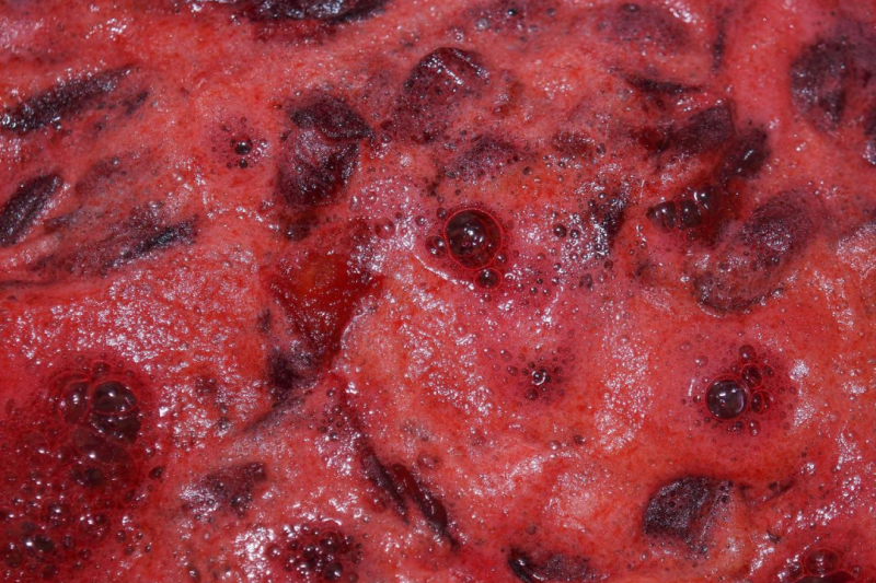 Como a Produção de Polpa de Frutas no Brasil Transforma o Mercado Alimentício