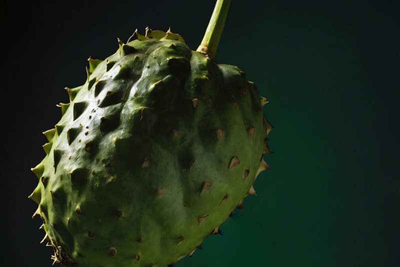 Óleo de Graviola: Benefícios para Saúde e Bem-Estar