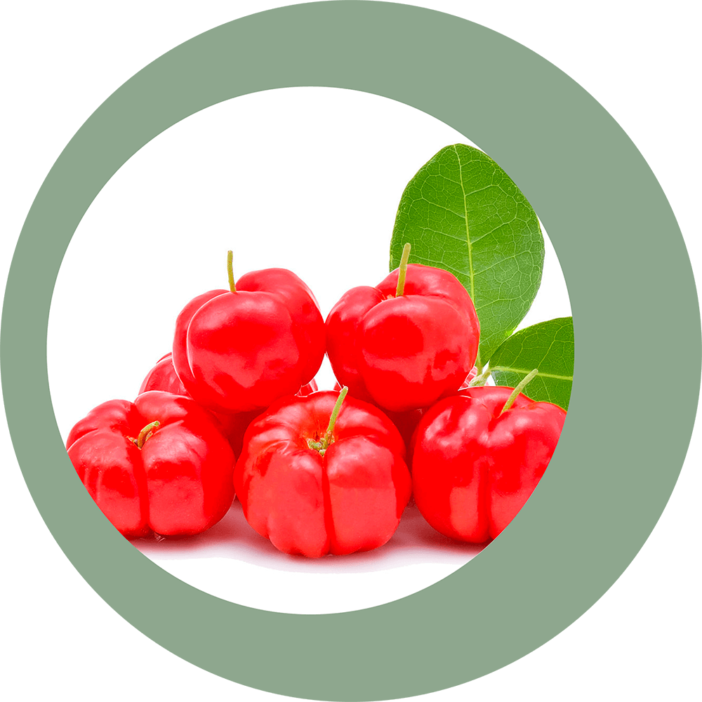 Acerola