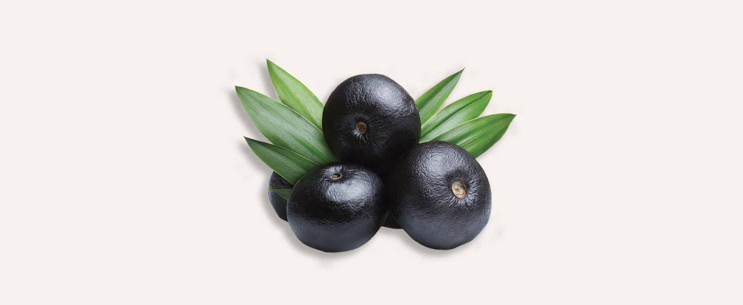 Açaí Açaí